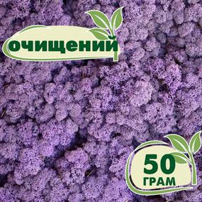 Очищенный стабилизированный мох ягель Nordic moss Эрика  (фиолетовый) 50 грамм