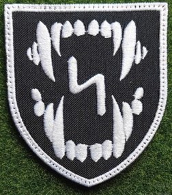 Шеврон ССО (силы специальных операций)