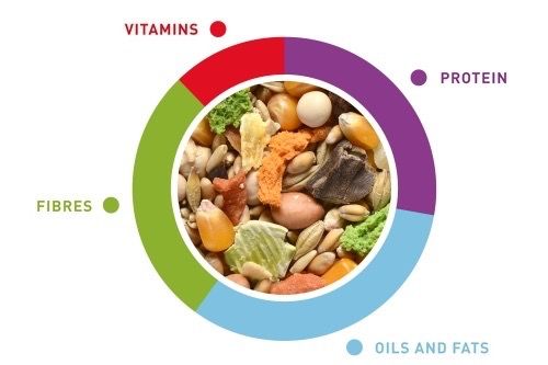 Корм для крыс и мышей Padovan GrandMix Topolini E Ratti, 400 гр | Зображення 1