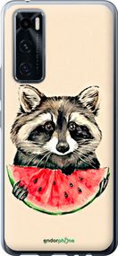 Чохол на Vivo V20 SE Єнотик з кавуном "4605u-2128-2448"
