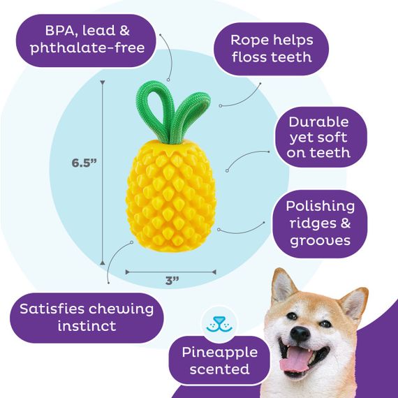 Іграшка для собак Outward Hound Dental Pineapple Dental Chew Toy, 16.5 см | Зображення 2