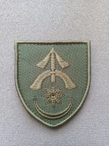 Шеврон 31 ОМБР