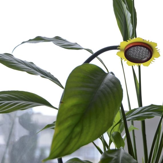 Фитосветильник для растений LED IP53 LED-36/3W Fito GROW | Зображення 6