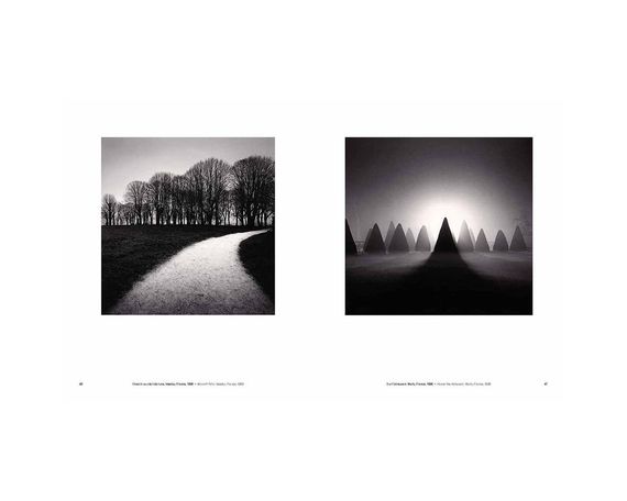 Книга Michael Kenna: Trees / Arbres (Signed) | Зображення 5