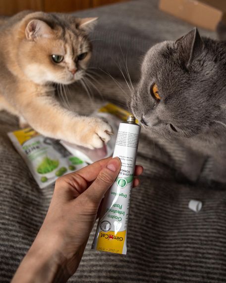 Паста для покращення травлення у котів GimCat Gastro Intestinal Paste, 50 гр | Зображення 3