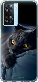 Чохол на Oppo A57s Димчастий кіт "825u-2931-2448"