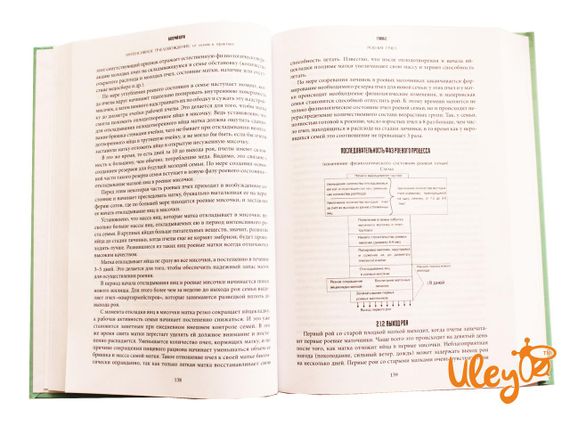 Книга "Інтенсивне пчеловождение: від основ до практики" Валерій Корж | Зображення 1
