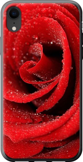 Чехол на iPhone XR Красная роза "529u-1560-17620"