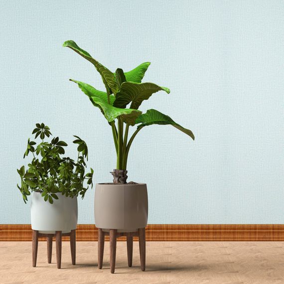 Гнучкий самоклеючий плінтус дуб золотий SW-00000075 | Зображення 4