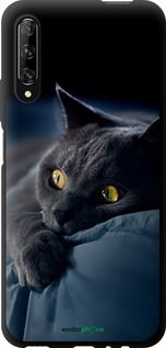 Чохол на Huawei P Smart Pro Димчастий кіт "825b-1906-2448"