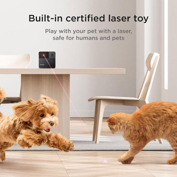 Petcube Компактна HD-камера  Play 2 (PP20US) | Зображення 6