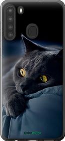 Чохол на Samsung Galaxy A21 Димчастий кіт "825u-1841-2448"
