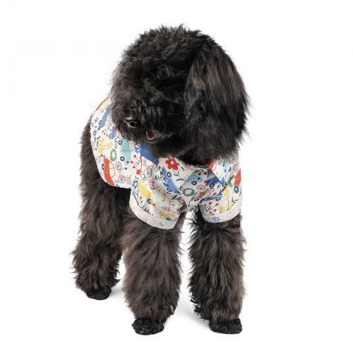 Сорочка Pet Fashion «Фенекс» для собак, розмір XS, принт | Зображення 2