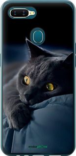 Чохол на Oppo A5S Димчастий кіт "825t-1892-2448"