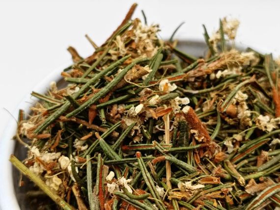 Багульник болотный (богульник), 25 г | Зображення 2