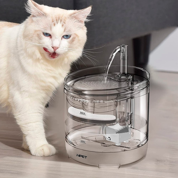 Питний фонтан напувалка для котів та собак NPET WF050TP 1.5L з фільтром прозорий
