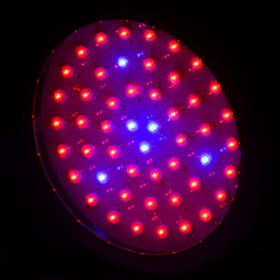 Бра LED фито для растений LED-46/50W 50 pcs IP20 GROW | Зображення 3