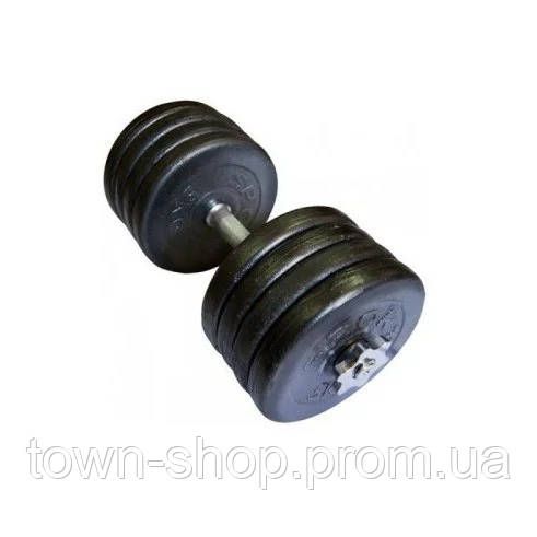 Гантель наборная 42 кг Home TI-968-745-42-1