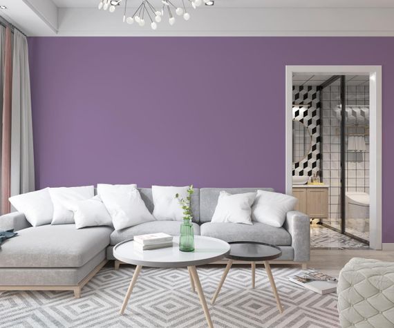 Фарба Інтер'єрна Латексна Skyline 4020-R50B Фіолет 10л | Зображення 2