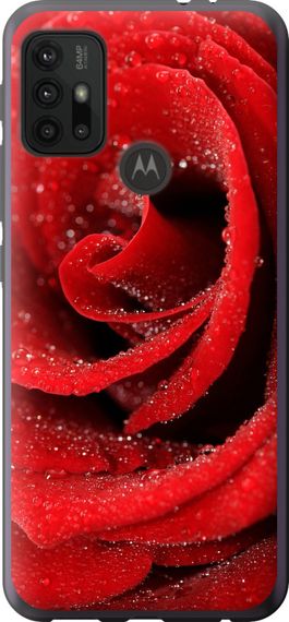 Чехол на Motorola Moto G20 Красная роза "529u-2461-17620"