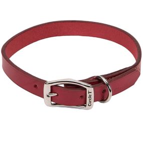 Нашийник шкіряний Coastal Circle-T Leather Town, 55 см, червоний