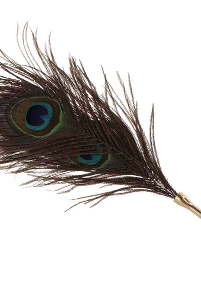 Перо Павича Taboom DONA Peacock Tickler на довгій ручці sexstyle | Зображення 4