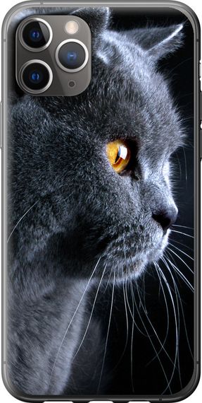 Чехол на iPhone 11 Pro Max Красивый кот "3038u-1723-17620"