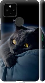 Чохол на Google Pixel 5A Димчастий кіт "825m-2286-2448"