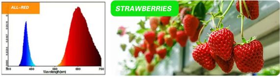Светильник для растений FLF-09 LED 9W Fito GROW (All Red) | Зображення 1