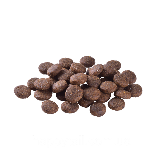 Беззерновой корм Brit Care Junior Large Breed для молодых собак крупных пород, лосось, 1 кг | Зображення 1