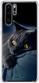 Чохол на Huawei P30 Pro Димчастий кіт "825sp-1621-2448"