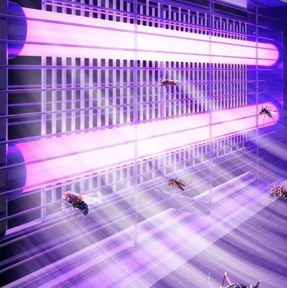 Лампа-винищувач комах LED Mosquito Trap 2W/20W LED-902, чорна | Зображення 3