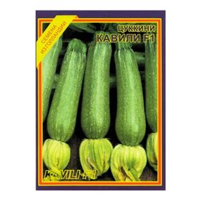 Насіння кабачка Кавілі F1 5 шт. (Nunhems)