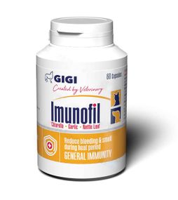 Вітаміни для зміцнення імунітету у собак та котів GiGi Imunofil, 60 табл