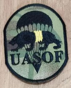 Шеврон ССО UASOF (силы специальных операций) ЗСУ (мультикам)