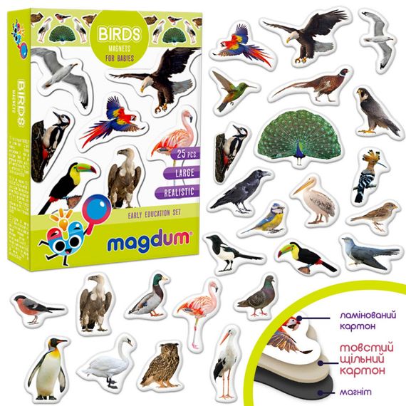 Детский набор магнитов Птицы фото Magdum ML4031-30 EN | Зображення 1