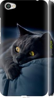 Чохол на Xiaomi Redmi Note 5A Димчастий кіт "825m-1401-2448"