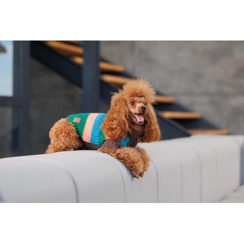 Свитер Pet Fashion Happy для собак, размер XL | Зображення 4