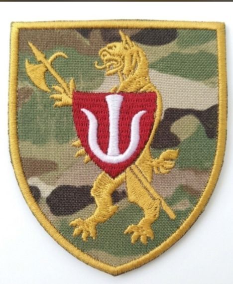 Шеврон / мультікам