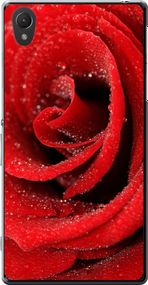 Чехол на Sony Xperia Z2 D6502/D6503 Красная роза "529u-43-17620"