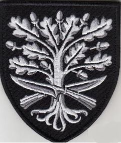 Шеврон 93 ОМБр Холодный Яр (черный)