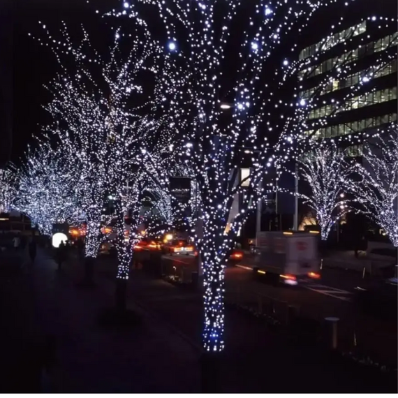 Світлодіодна гірлянда для вулиці 800 LED, 50 метрів, білий, краплі роси знижка | Зображення 6