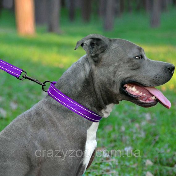 Ошейник для собак BronzeDog Active М нейлоновый фиолетовый 2х30-40 см 51/1307 | Зображення 3