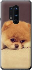 Чехол на OnePlus 8 Pro Boo 2 "890u-1896-17620"