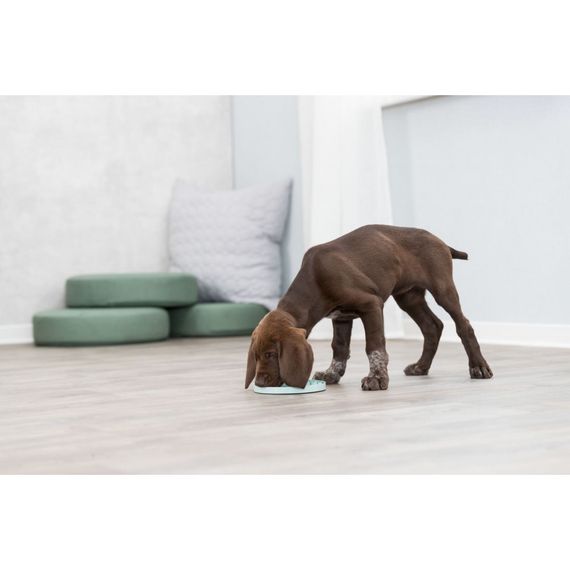 Миска-килимок Trixie для цуценят Junior для повільного годування блакитна пластик d-21 см | Зображення 5