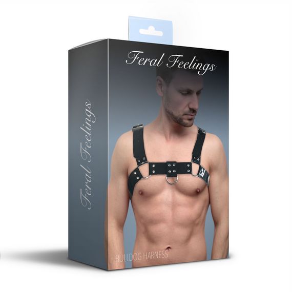 Чоловіча портупея на груди Feral Feelings - Bulldog Harness Black | Зображення 2