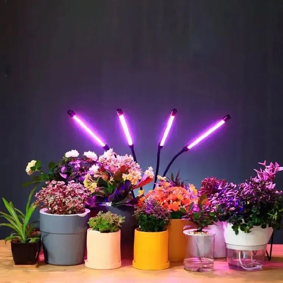 Ультрафіолетова фітолампа з таймером XPRO 80Вт (234572120_446) | Зображення 4