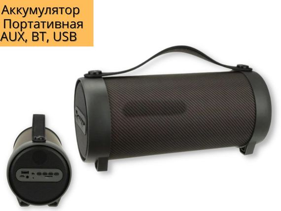 Портативна колонка XPRO S11F  15Вт USB, AUX, FM, Bluetooth чорна (S11F BT) | Зображення 1