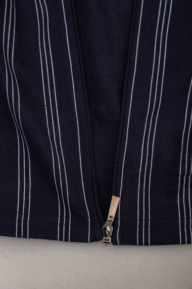 Кофта чоловіча на блискавці в смужку  -уцінка, колір темно-синій, 238R123-U-4 | Зображення 5