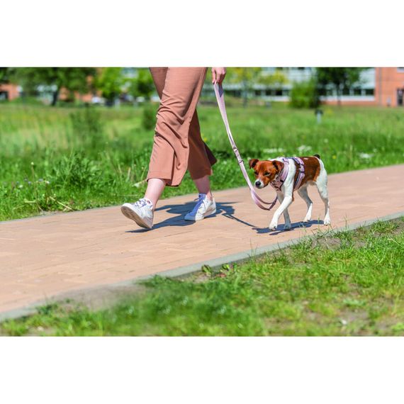 Повідок Trixie Premium для собак регульований M–L 2 м 20 мм світло-рожевий | Зображення 2